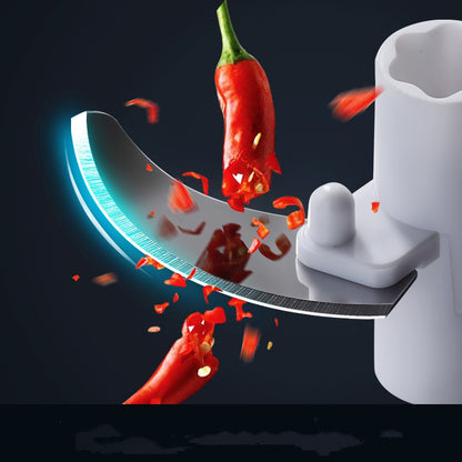 Home ginger and garlic blender - Electryx