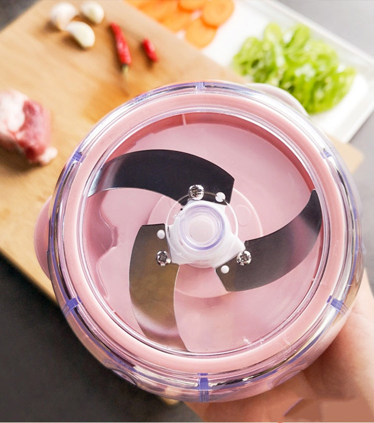 Home ginger and garlic blender - Electryx